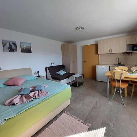 Studio Apartma Zirovnik 戈雷尼斯卡地区采尔克列 外观 照片