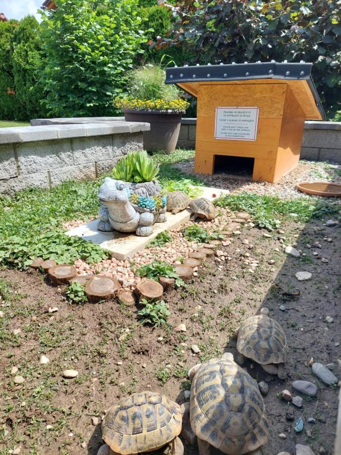 Studio Apartma Zirovnik 戈雷尼斯卡地区采尔克列 外观 照片